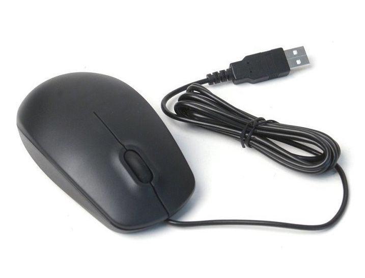 HP 2 BUTTON SCROLL USB MOUSE